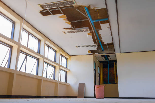 Carpet water damage restoration in OK