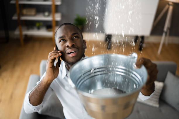 Best Professional water damage repair  in Thomas, OK