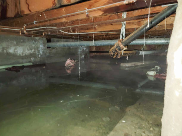 Best Water damage cleanup near me  in Thomas, OK