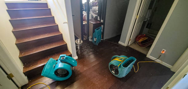 Best Flood damage cleanup  in Thomas, OK