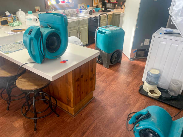 Best Water damage restoration near me  in Thomas, OK