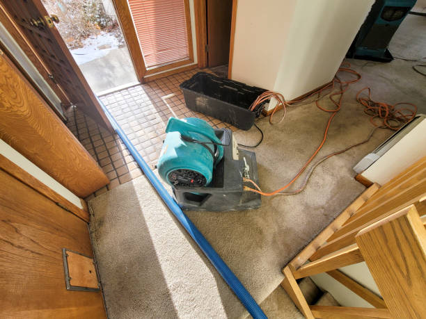 Best Carpet water damage restoration  in Thomas, OK