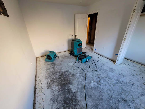 Best Local water damage restoration  in Thomas, OK