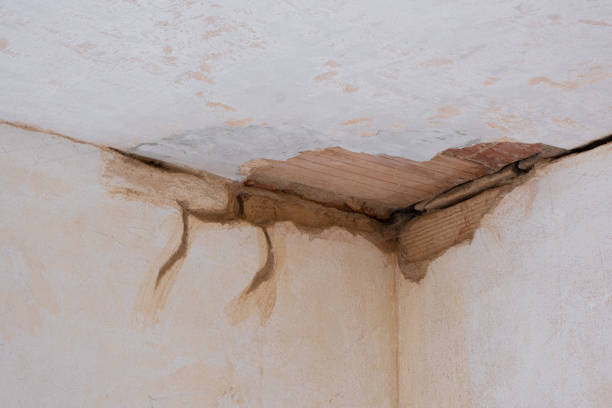 Best Ceiling water damage repair  in Thomas, OK