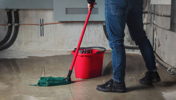 Best Mold removal after water damage  in Thomas, OK