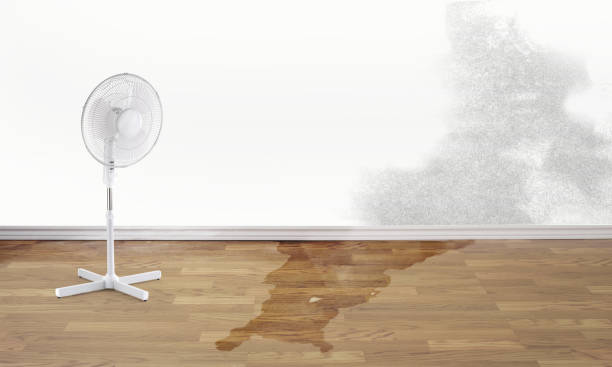 Thomas, OK Water damage restoration Pros