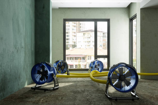 Best Water damage restoration company  in Thomas, OK